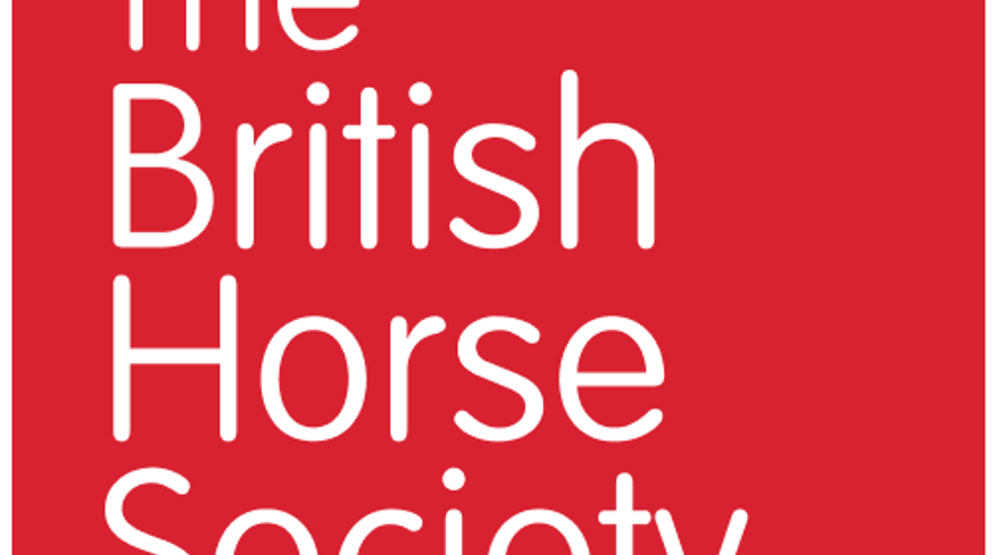 BHS Logo