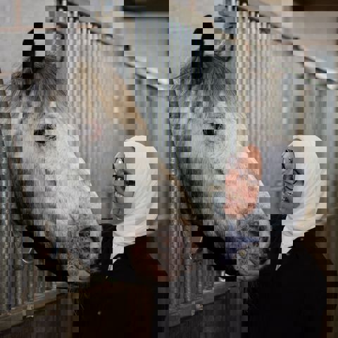 woman smiling at a horse in stables