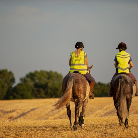 two riders riding out at sunset