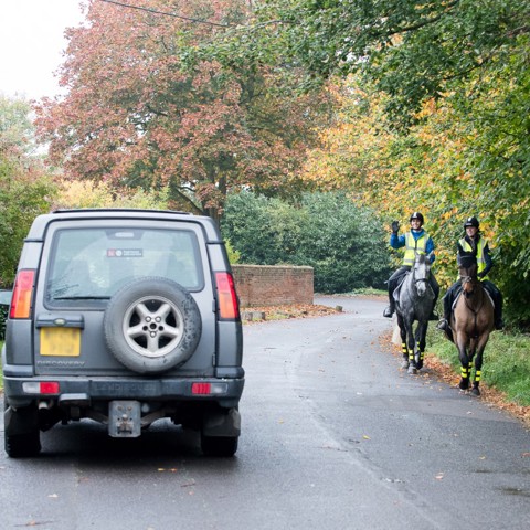horse riders passing by car