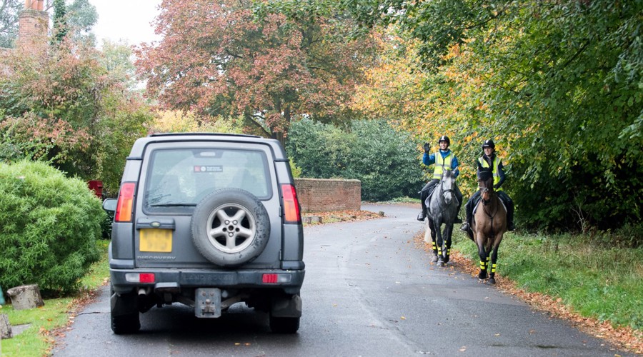 horse riders passing by car