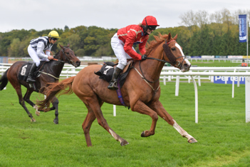 Isabella winning Newbury Race