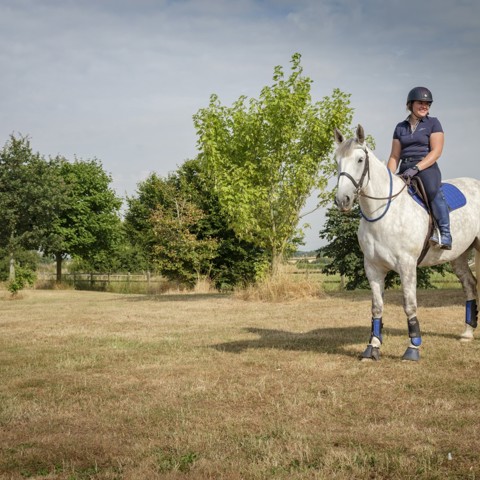 woman riding a horse