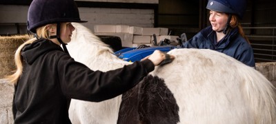 women grooming horse
