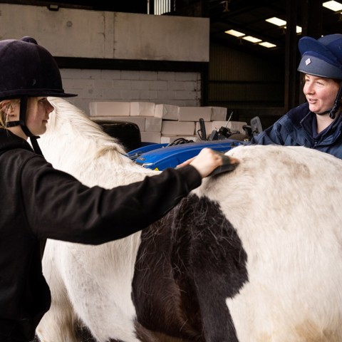 women grooming horse