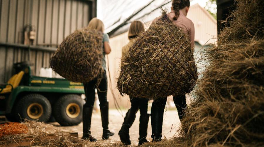 The backs of three young girls carrying haynets through the door of a barn.