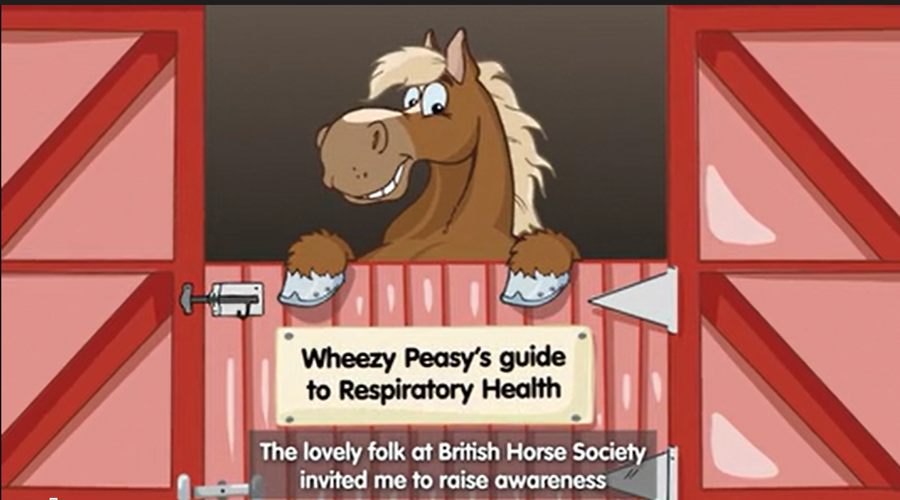 Respiratory Health Cover