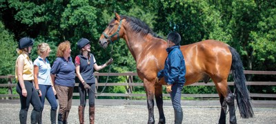 people and a horse
