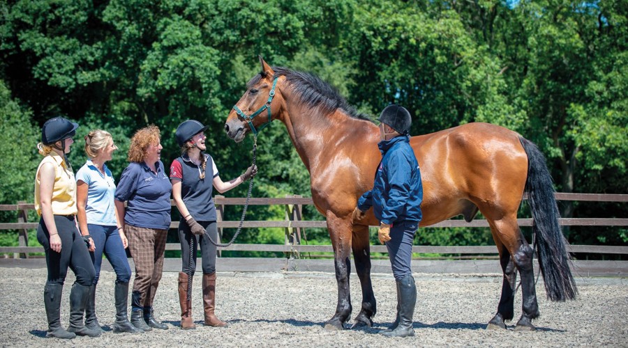 people and a horse