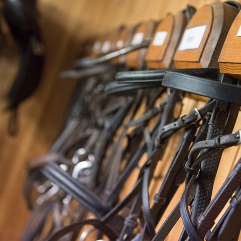 Reasonable Adjustments