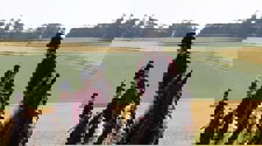 481020144 644850281267622 4027408888161460151 N