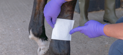 BHS Uniofnotts Leg Bandage 026