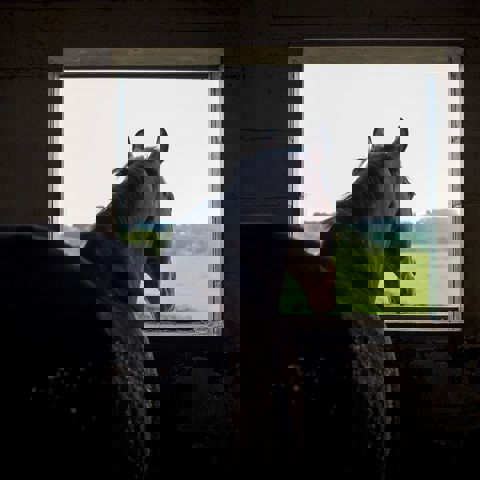 BHS EDUCATION PATHWAY BRAMPTON 0308