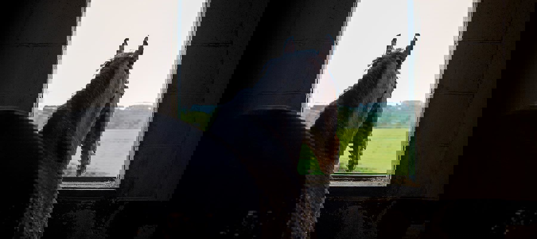 BHS EDUCATION PATHWAY BRAMPTON 0308