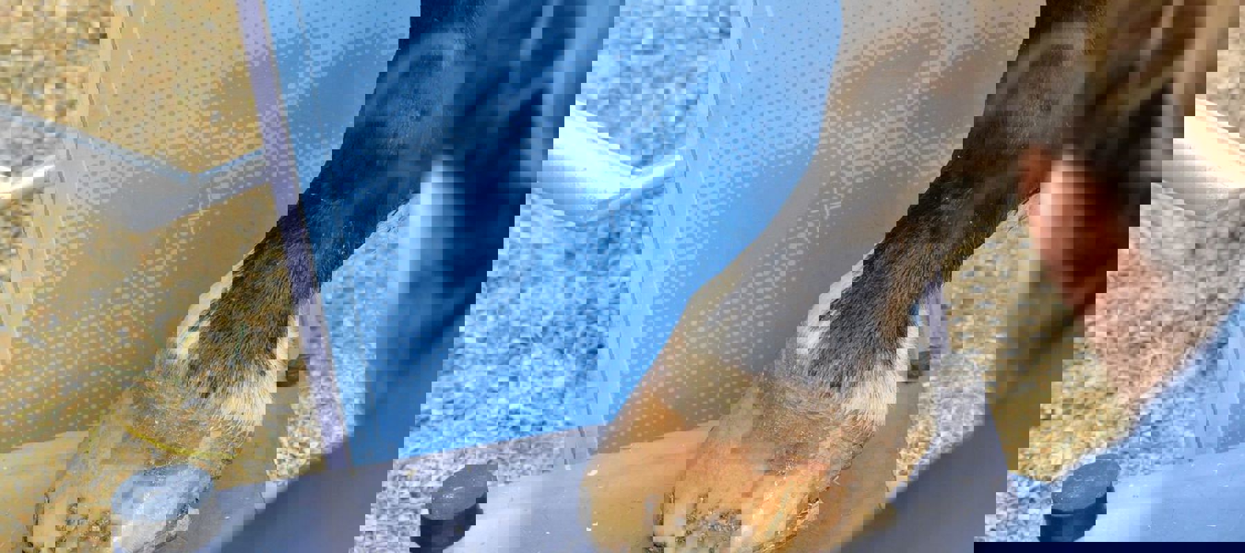 Photo Credit: Duncan Lamont