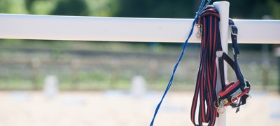 reins and tack set