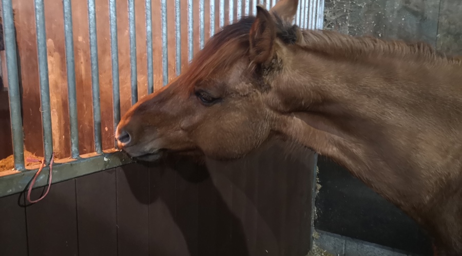 SP Approved. 19.04.23