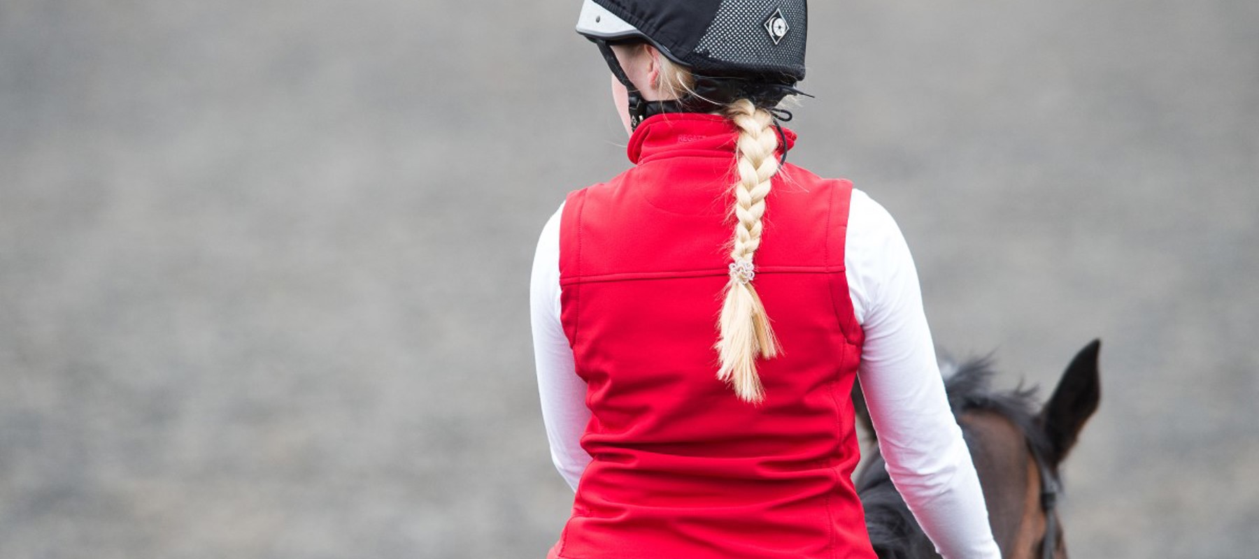 rider on a horse from behind