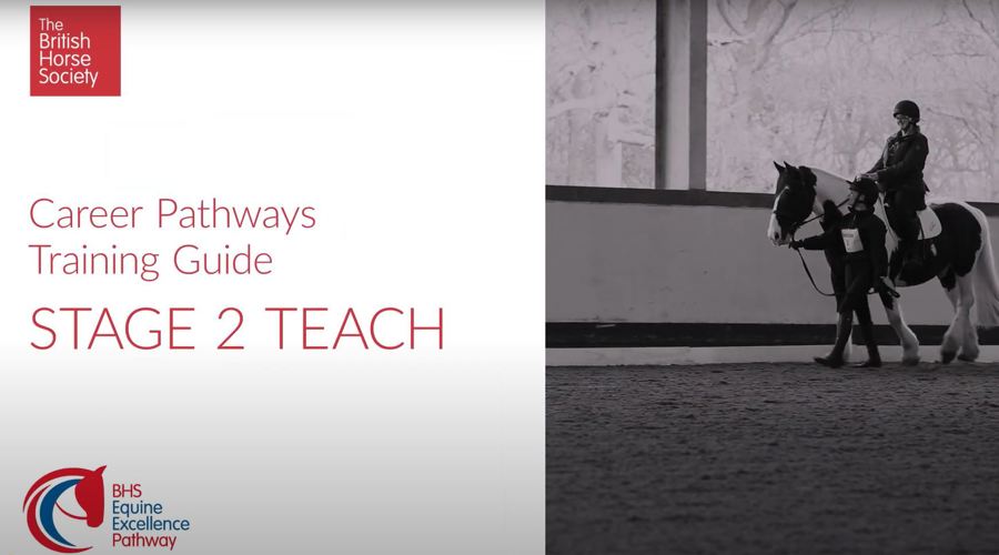 Stage 2 Teach Training Guide