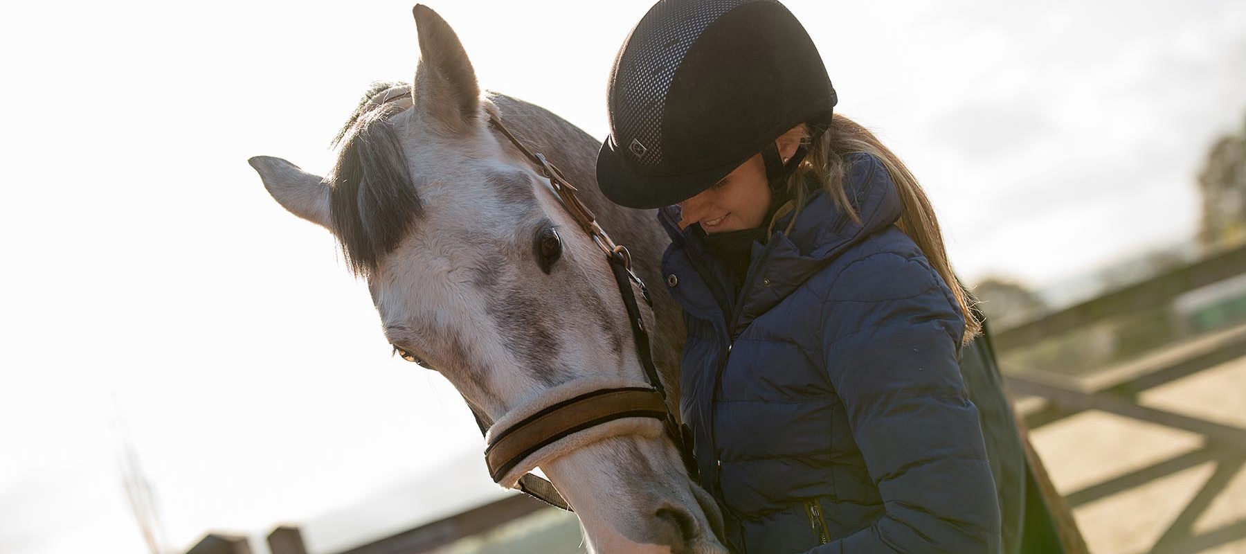 Buying a horse | The British Horse Society