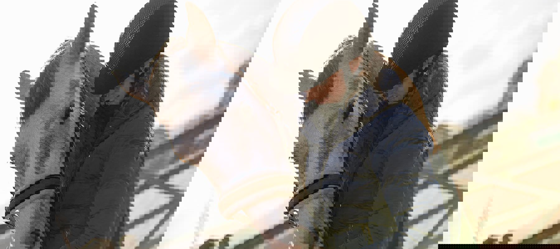 BHS STOCK NOV2016 0533