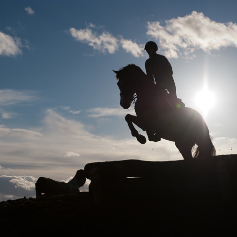 Eventing Cross Country Training