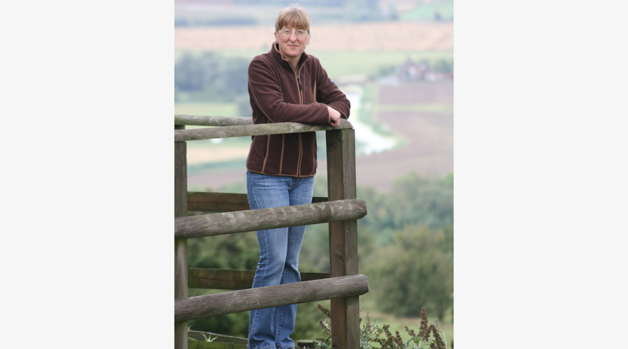 Img 3206 Border Grey