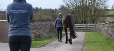 Pic 12 Walking Up (1)