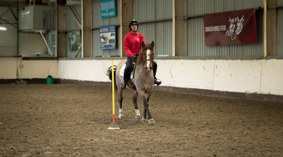 Image 3 Mounted Games Header Copy