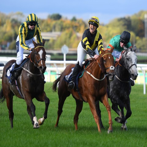 Jockey Hi Res
