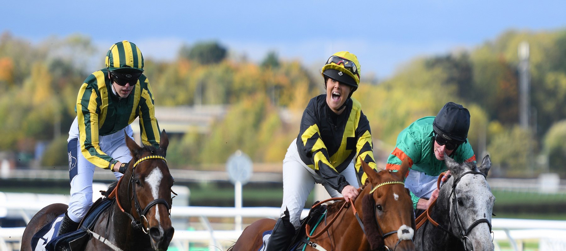Jockey Hi Res