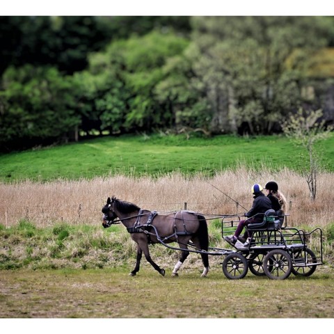 Carriage 4