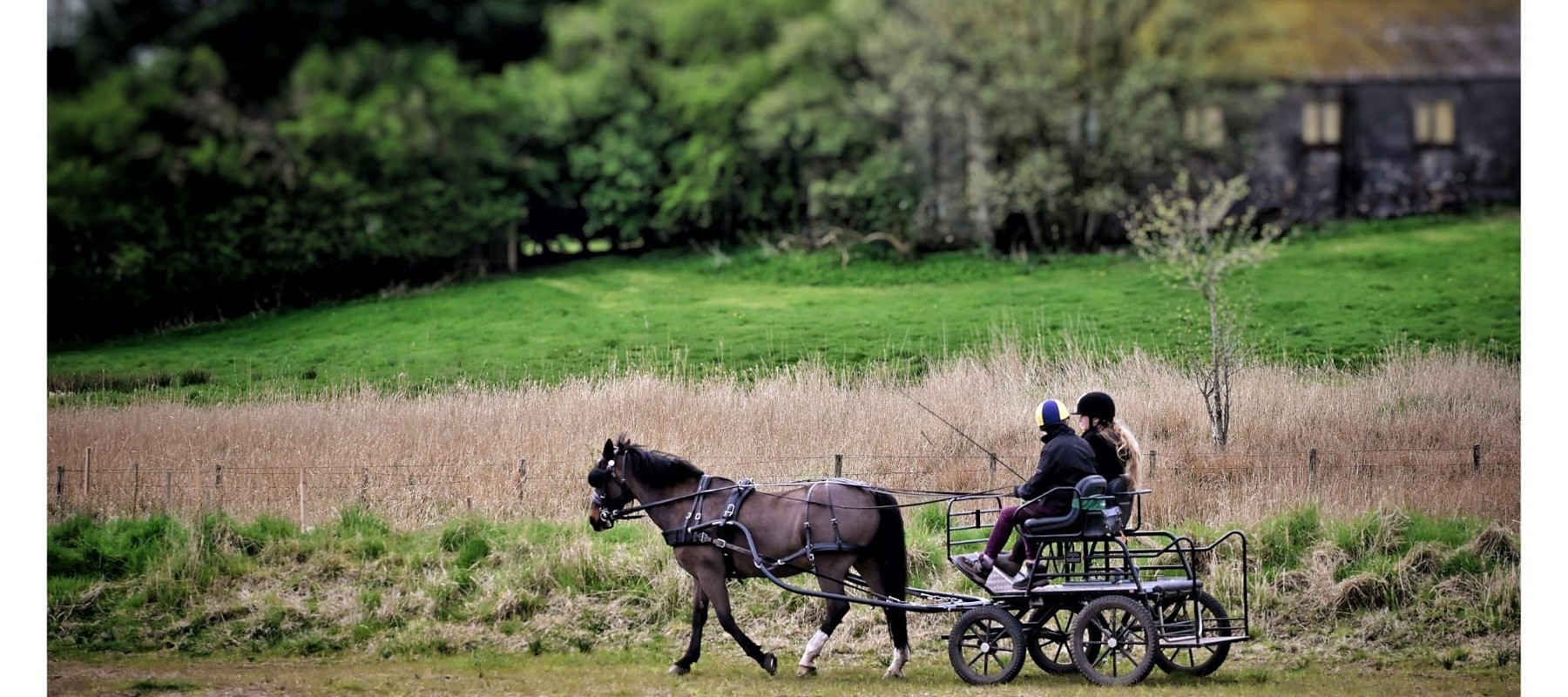 Carriage 4