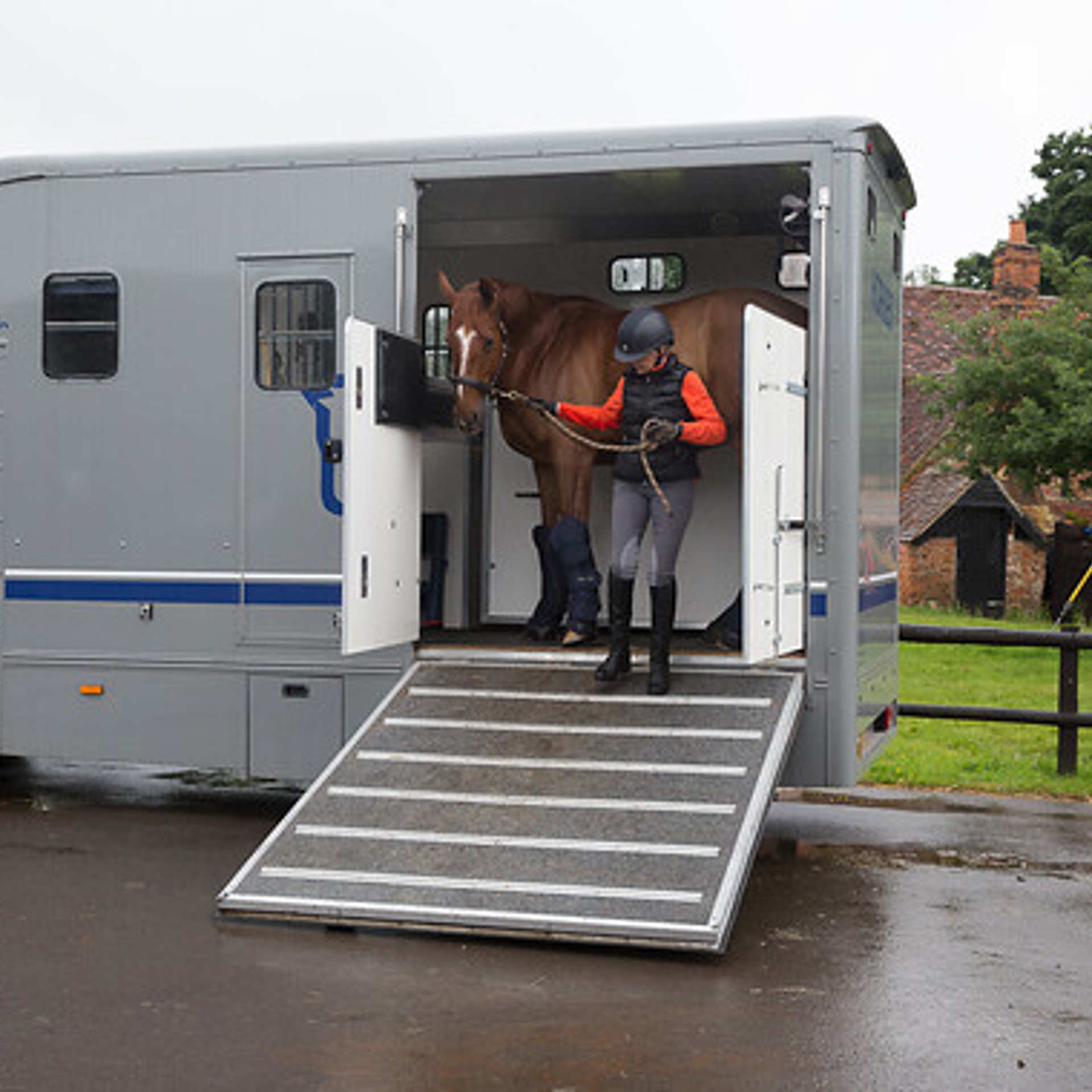 Second Chance rehoming horses | The British Horse Society
