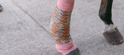 BHS Uniofnotts Leg Bandage 006