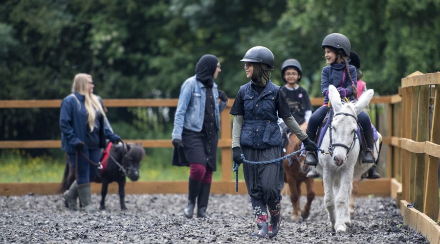 children riding on ponies
