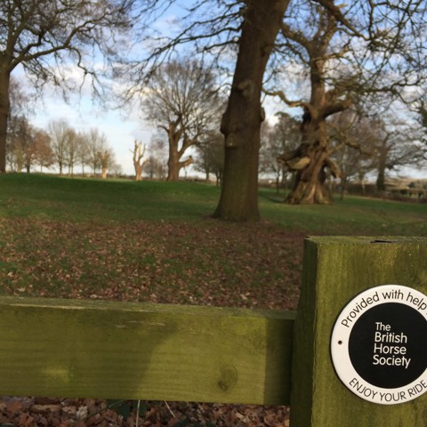 BHS Bridleway Sign