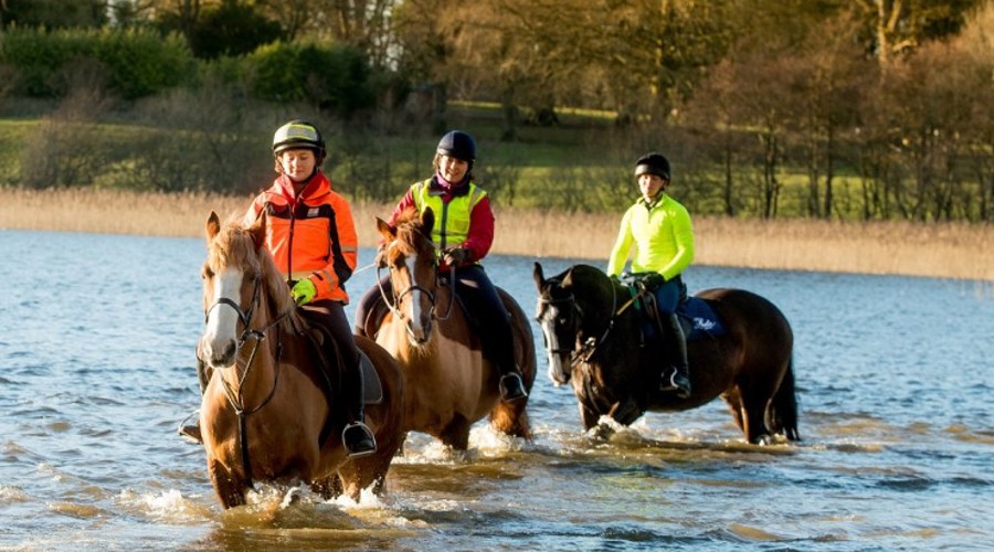 horse riding in the water