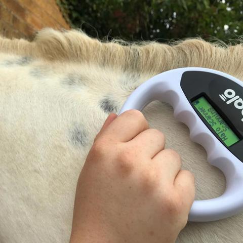 horse Microchip Scanner