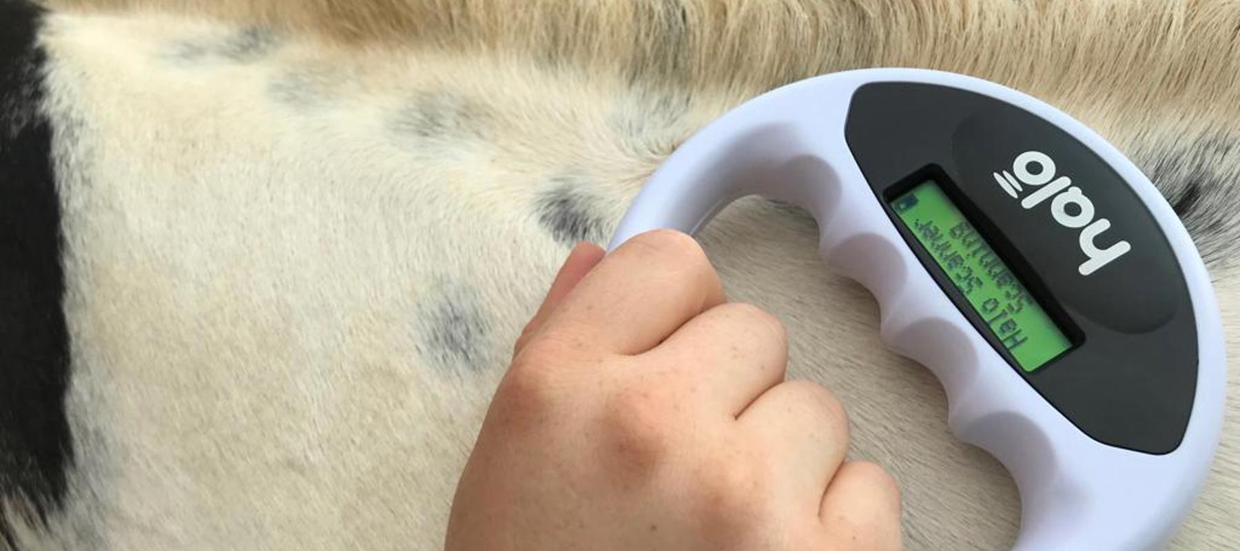 horse Microchip Scanner