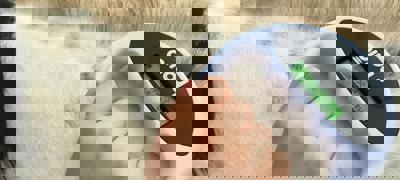 horse Microchip Scanner