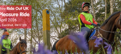 Qjn2jbun6ldz6kd4rzo8