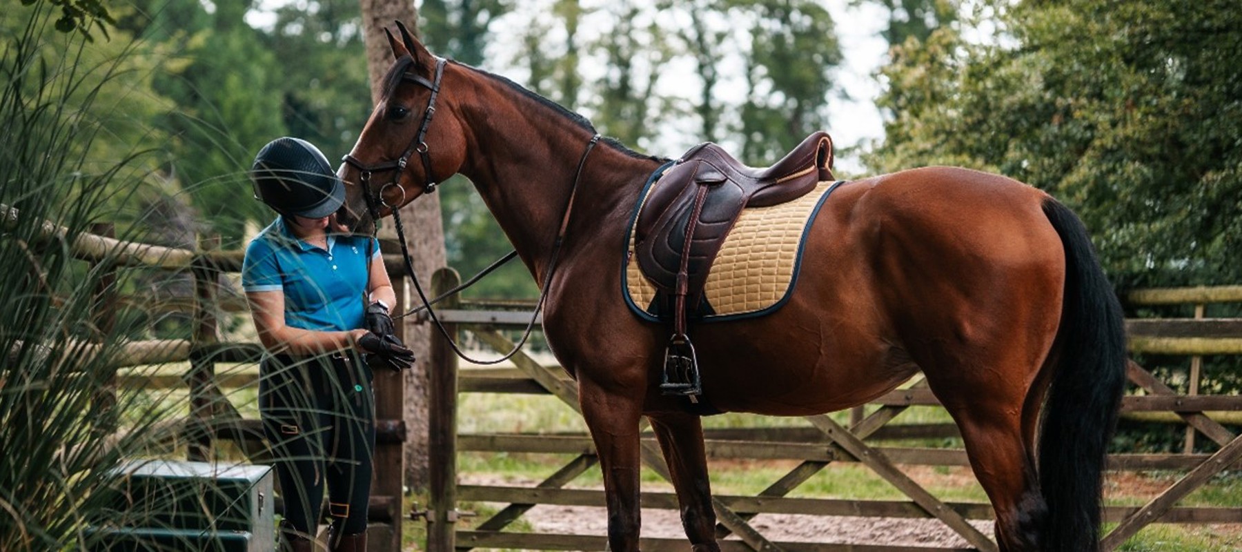 Woman Standing With Tacked Up Bay Horse