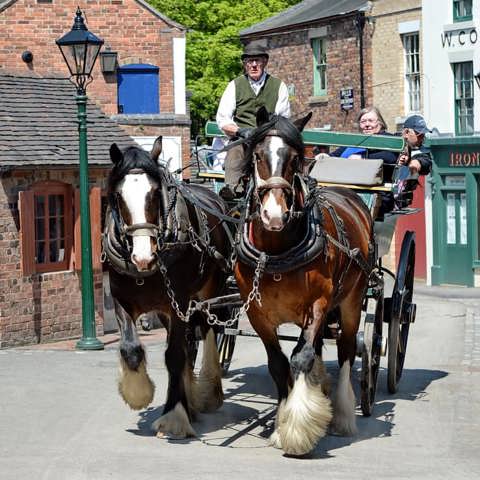 Steve And Shires (1)