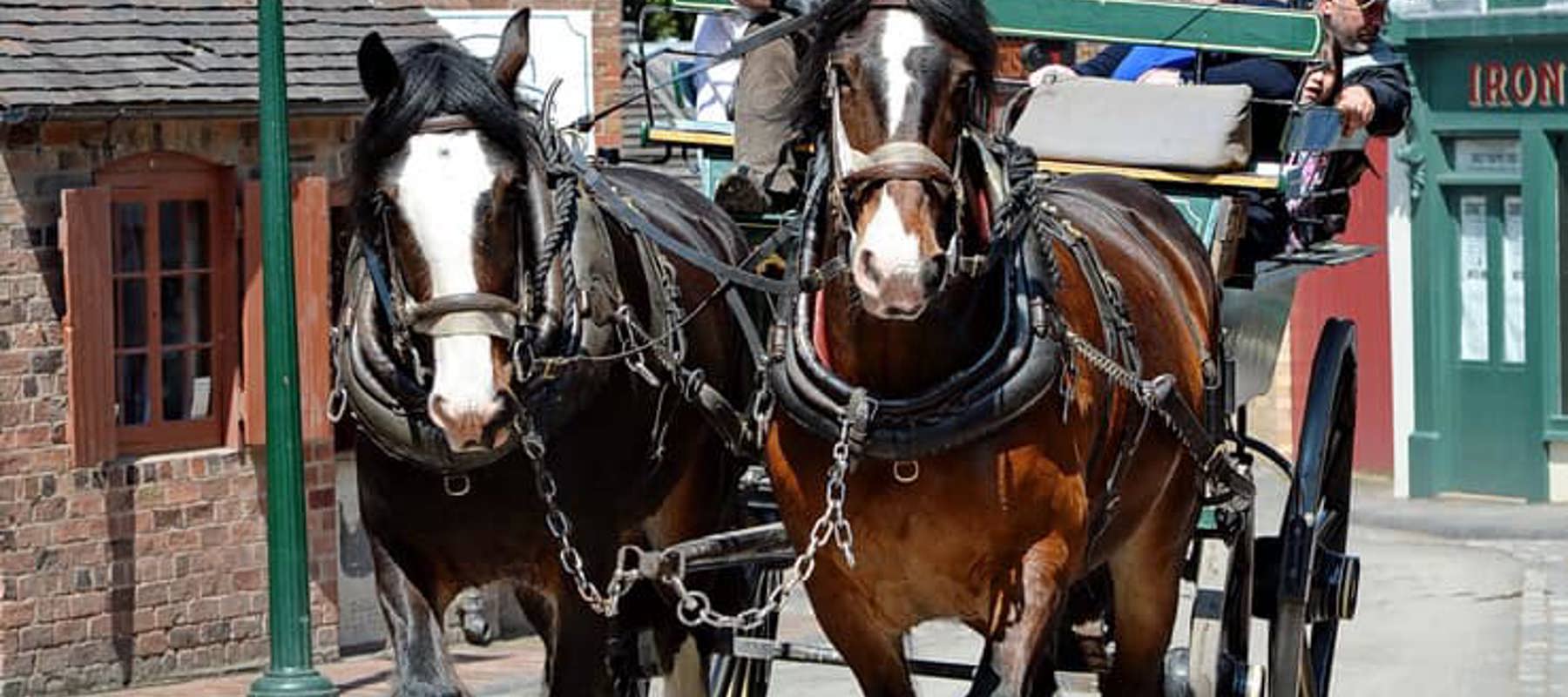 Steve And Shires (1)