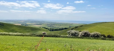 4D52adbb 8474 40D7 92E4 458F2c73ec4f