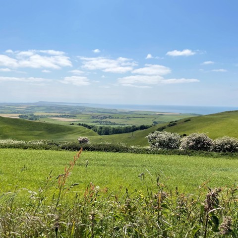 4D52adbb 8474 40D7 92E4 458F2c73ec4f