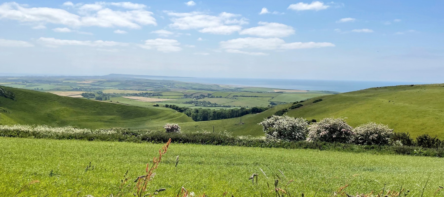 4D52adbb 8474 40D7 92E4 458F2c73ec4f