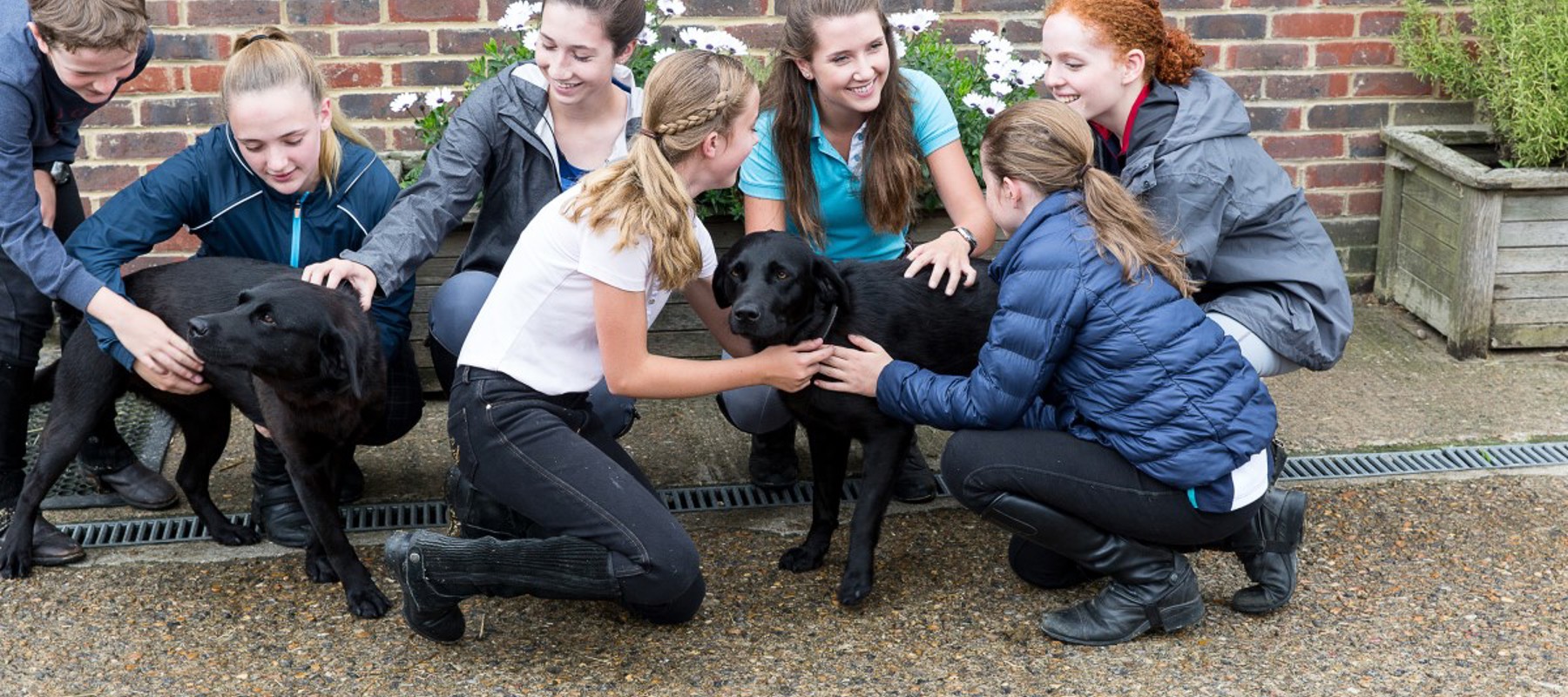 Safeguarding Course kids playing with dogs