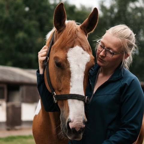 Woman With Chestnut Horse